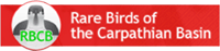 Rare Birds of the Carpathian Basin