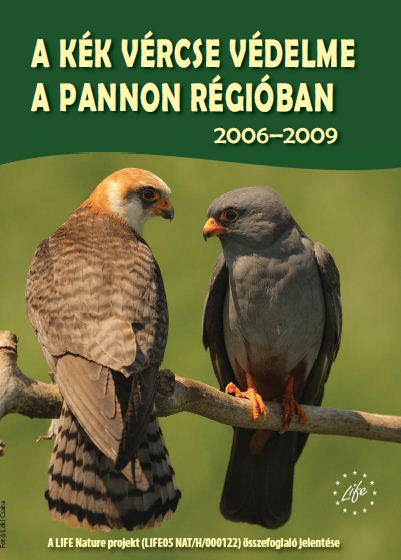 Read more about the article A kék vércse védelme a pannon régióban 2006-2009