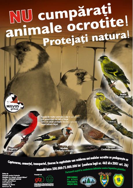 Read more about the article Nu cumpărați animale ocrotite!