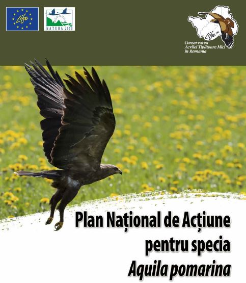Read more about the article Plan Național de Acțiune pentru specia Aquila pomarina