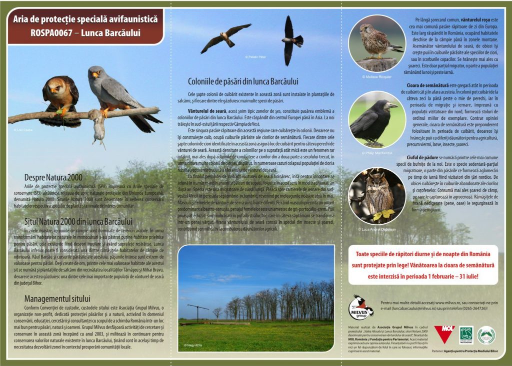 Read more about the article ROSPA0067 – A Berettyó-ártér Különleges madárvédelmi terület