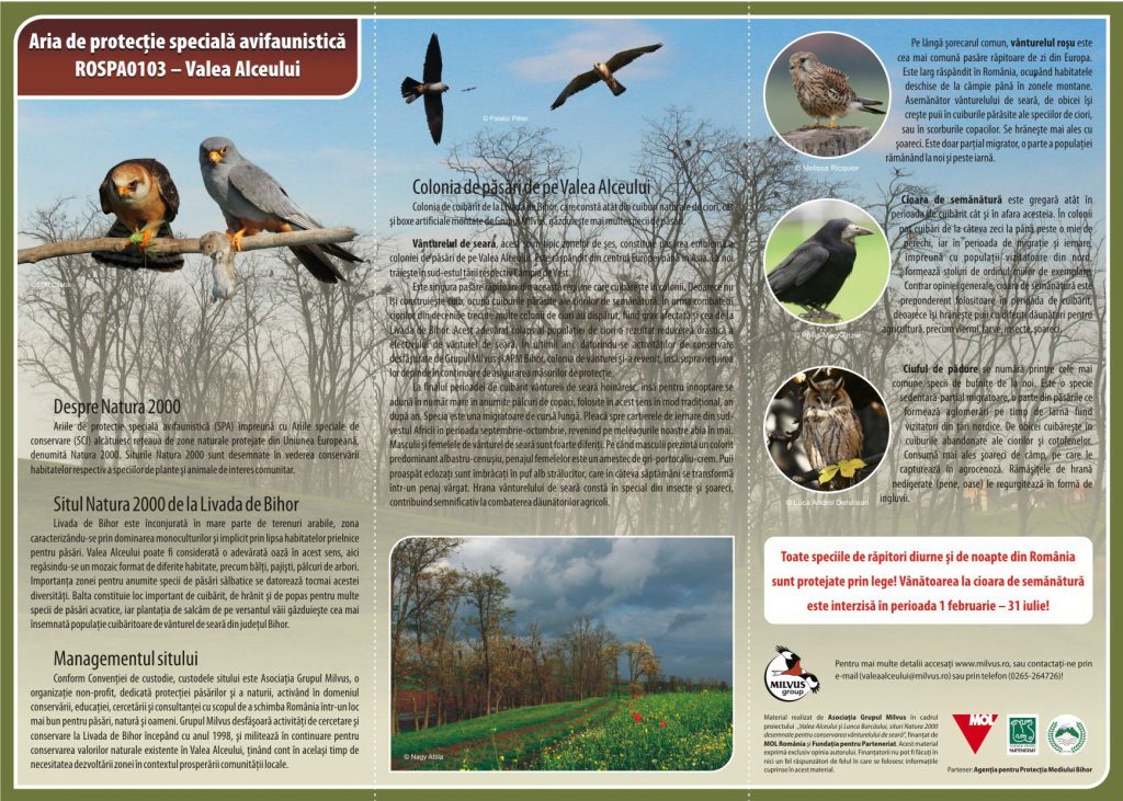 Read more about the article Aria de protecție specială avifaunistică ROSPA0103 – Valea Alceului