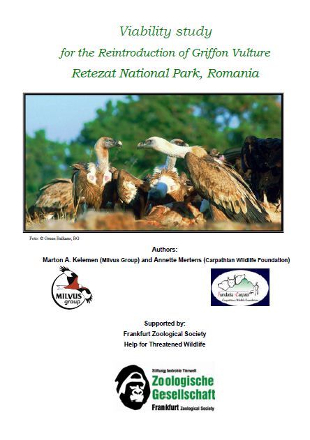 Read more about the article Viability study for the reintroduction of Griffon Vulture Retezat National Park, Romania