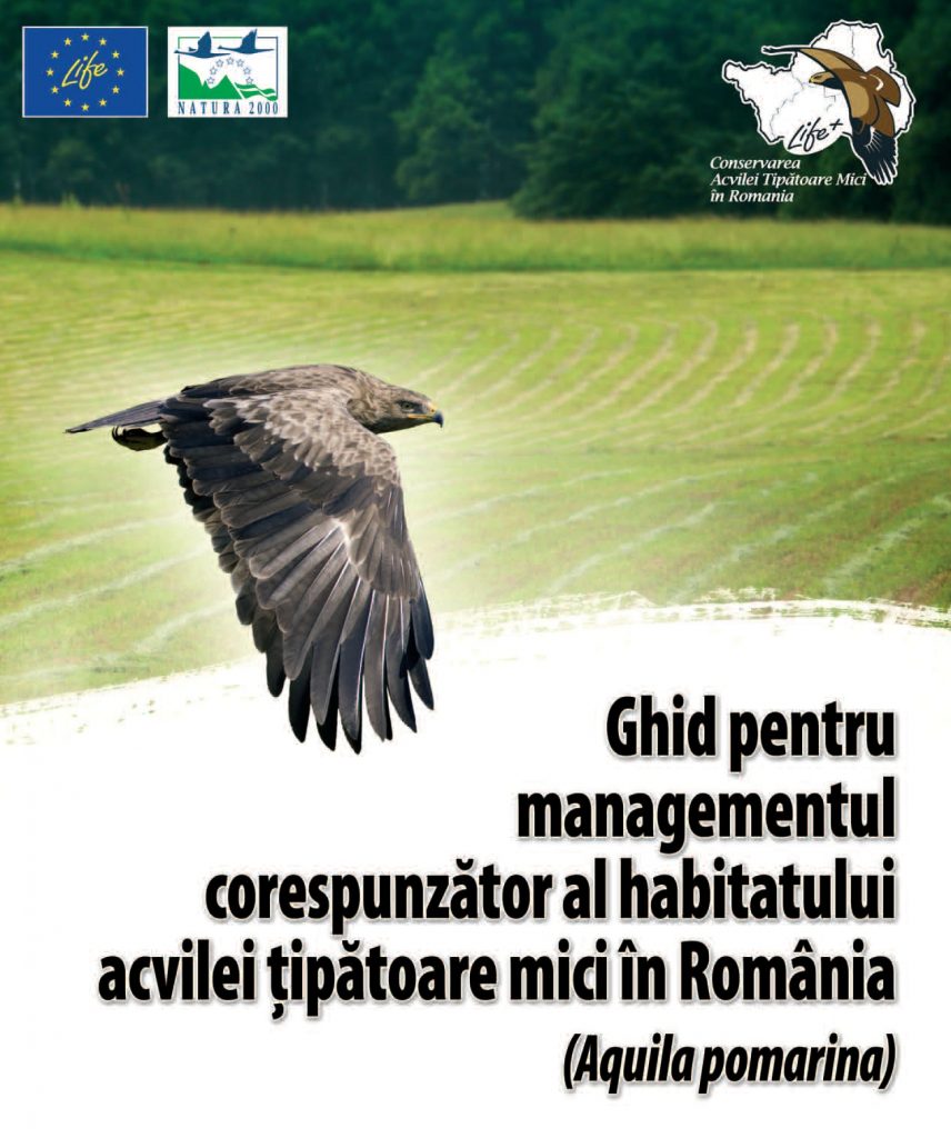 Read more about the article Ghid pentru managementul corespunzător al habitatului acvilei țipătoare mici în România