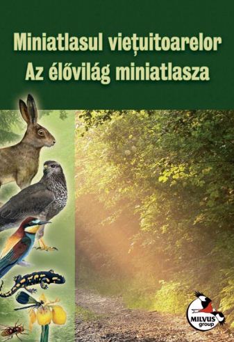 Read more about the article Az élővilág miniatlasza, tartalom