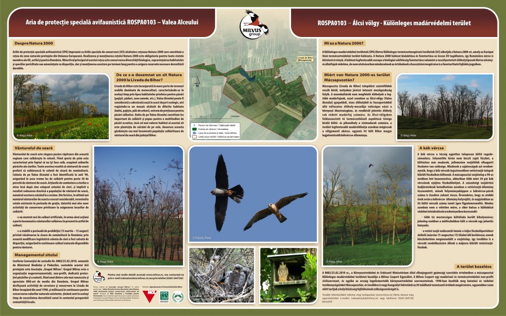 Read more about the article Aria de protecție specială avifaunistică ROSPA0103 – Valea Alceului (panou)