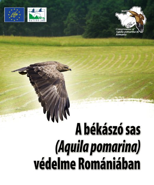 Read more about the article (EN) Útmutató a békászó sas (<em>Aquila pomarina</em>) élőhelyének megfelelő kezeléséhez Romániában