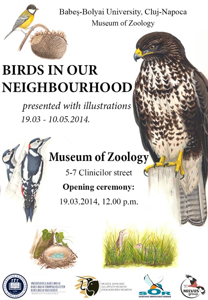 Read more about the article Expoziție: Păsările de lângă noi