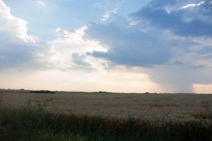 Habitatul de cuibărit 