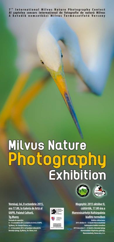 Milvus Nature Photography