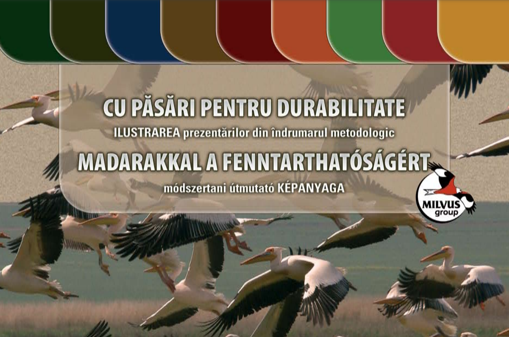 Read more about the article Madarakkal a fenntarthatóságért – a módszertani útmutató képanyaga, tartalom