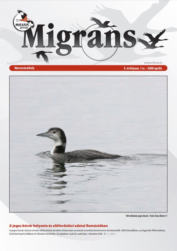 Read more about the article Migrans – X. évfolyam, 1 sz.
