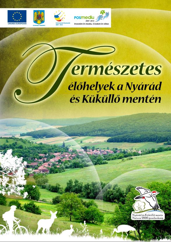 Read more about the article Természetes élőhelyek a Nyárád és Küküllő mentén