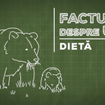 Factual despre urs – episodul 5: Dietă
