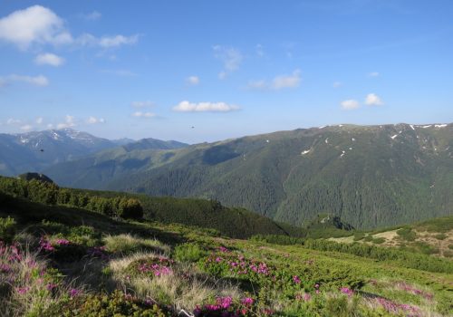 România vrea să ”rămână în joc” pentru protecția naturii