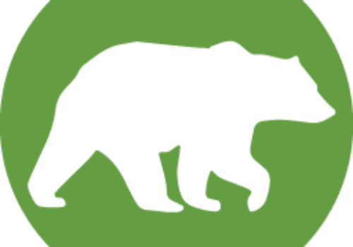 Bear Facts 10: Feeding bears
