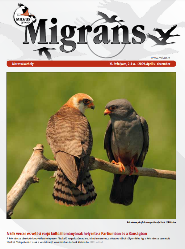 Read more about the article Migrans – XI. évfolyam, 2-3 szám