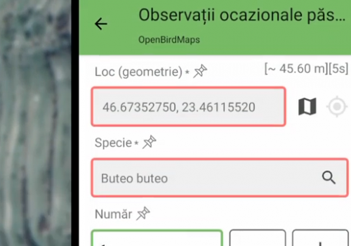 Aplicația OBM – instrumentul dedicat înregistrării observațiilor de specii din România