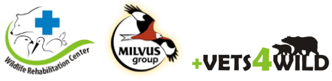 Milvus Group