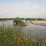 Situl Natura 2000: Râul Mureș între Iernuțeni și Periș