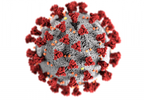 A természetvédelemre sem közömbös a koronavírus hatása 