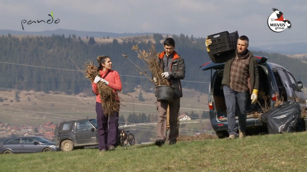 Read more about the article Cum să plantăm arbori! Un ghid – episodul 1
