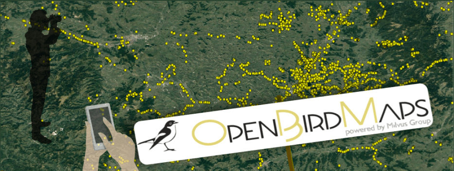 Read more about the article A hónap kihívása az OpenBirdMaps-en