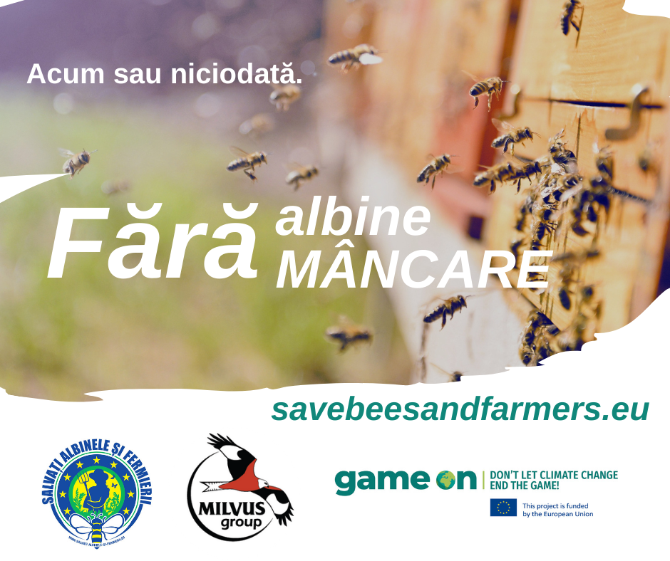 Read more about the article „Mentsük meg a méheket és a gazdákat!”