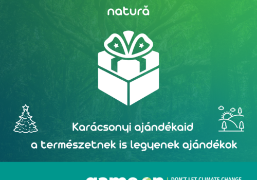 Cadourile tale, cadouri și pentru natură