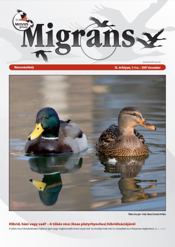 Read more about the article Migrans – Vol. IX, nr. 3-4