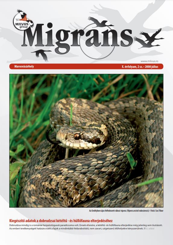 Read more about the article Migrans – Vol. X, nr. 2