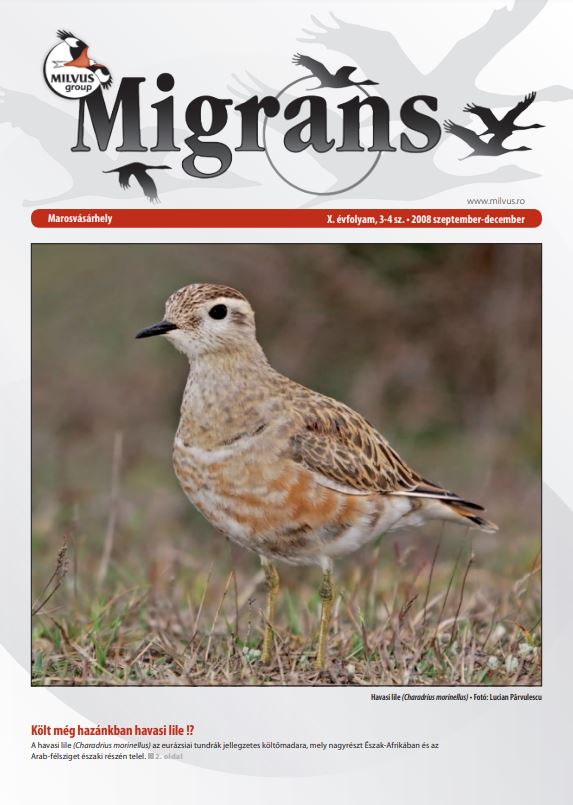 Read more about the article Migrans – X. évfolyam, 3-4 sz.