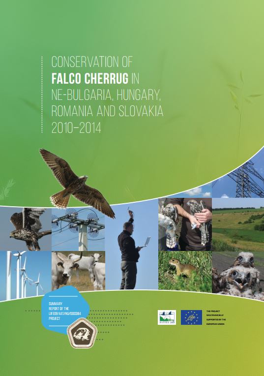 Read more about the article Conservation of Falco Cherrug in NE-Bulgaria, Hungary, Romania and Slovakia – report