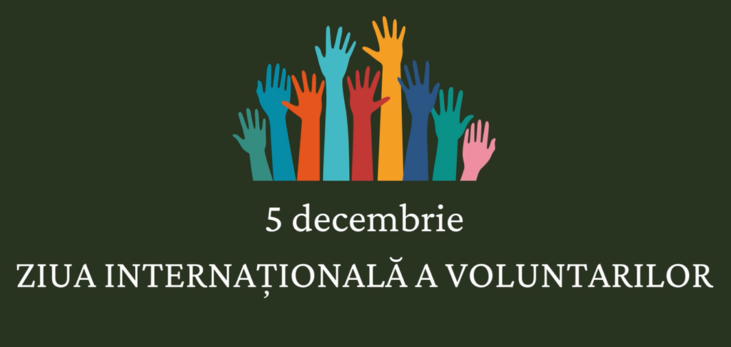 Read more about the article Ziua Internațională  a Voluntarilor