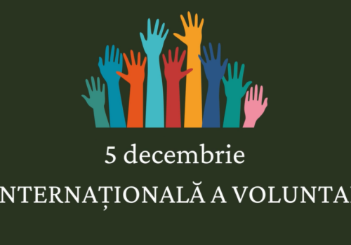 Ziua Internațională  a Voluntarilor