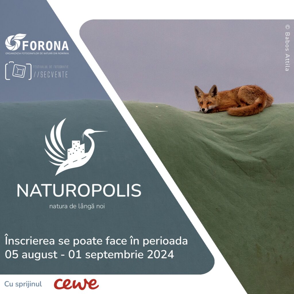 Read more about the article Concurs de fotografie Naturopolis 2024