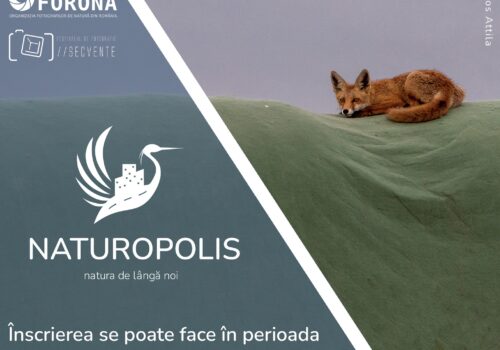 Concurs de fotografie Naturopolis 2024