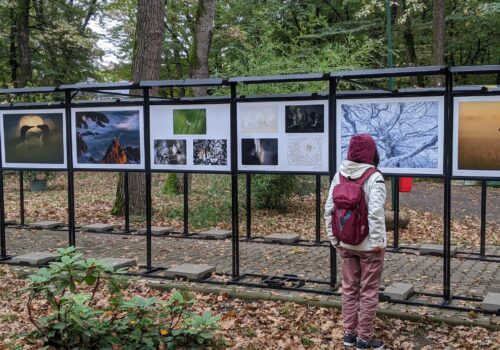 Exhibit at the ZOO