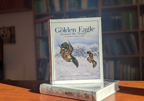 We have published our research findings on the Golden eagle