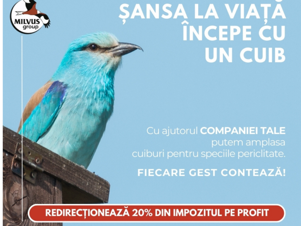 Read more about the article Ajutorul tău poate salva dumbrăveanca!