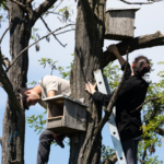 Spring begins with…maintenance