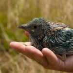 Creăm amintiri împreună