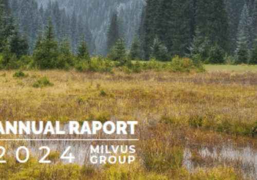 Our activities in 2024