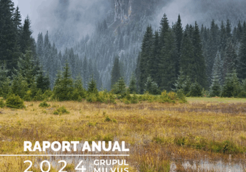 Activitățile noastre din 2024