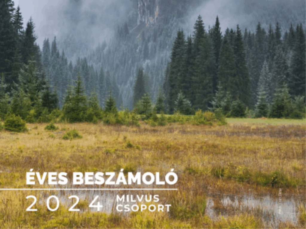 Read more about the article Tevékenységeink 2024-ben