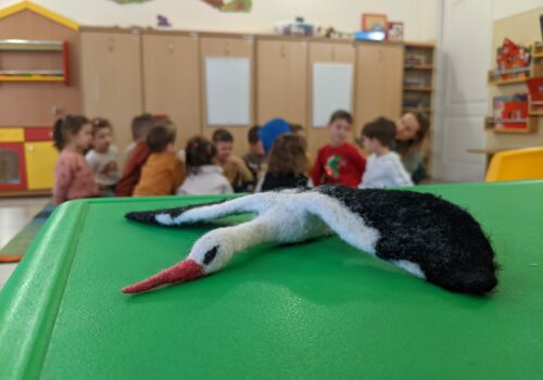 Discover, Love, and Protect Nature – environmental education for children