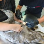 Când neglijența cauzează suferință