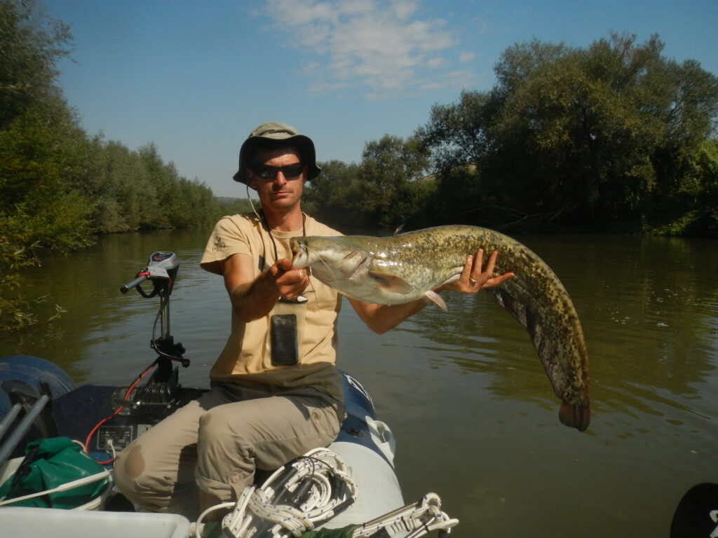 Read more about the article Lansăm baza de date OpenFishMaps!