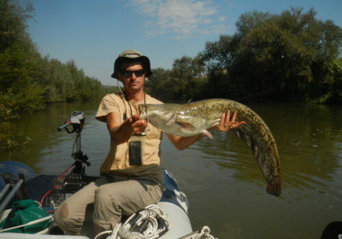 Lansăm baza de date OpenFishMaps!