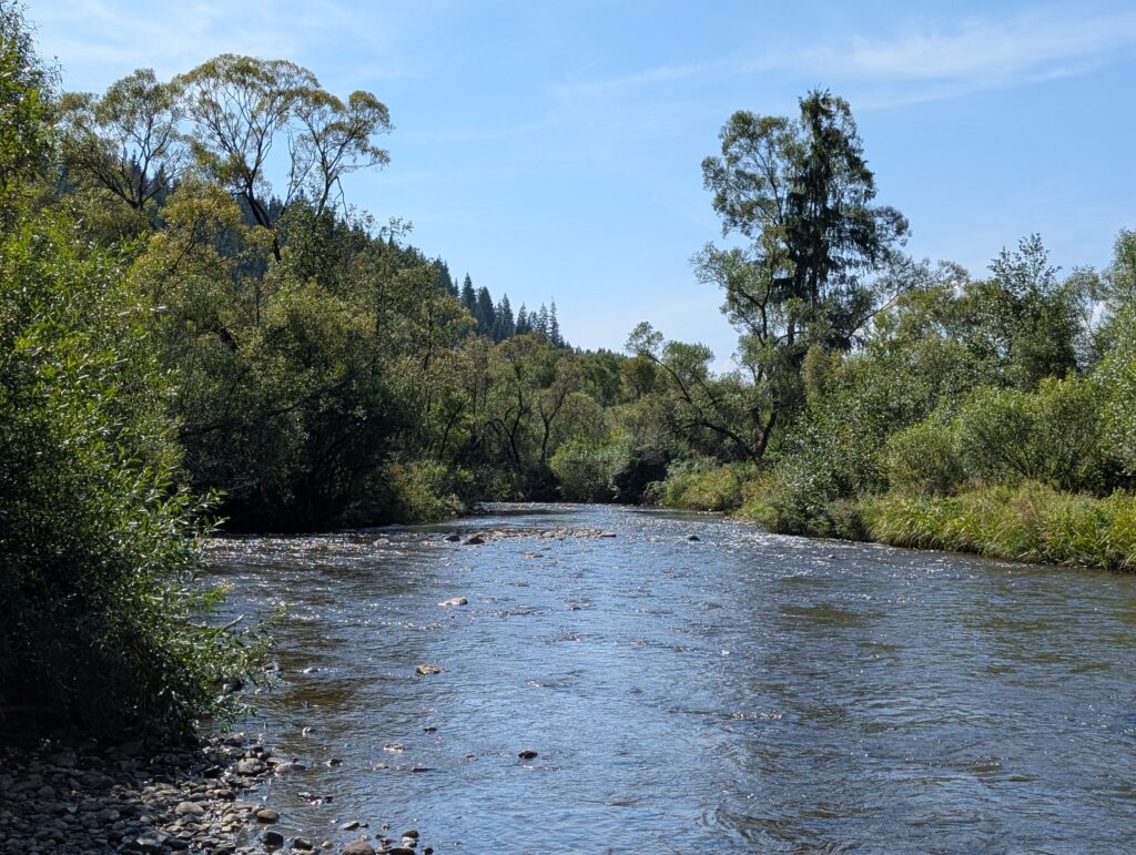 Read more about the article O lume nevăzută